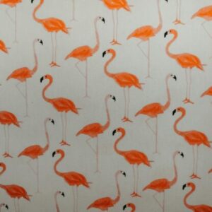 Flamingo Art Print