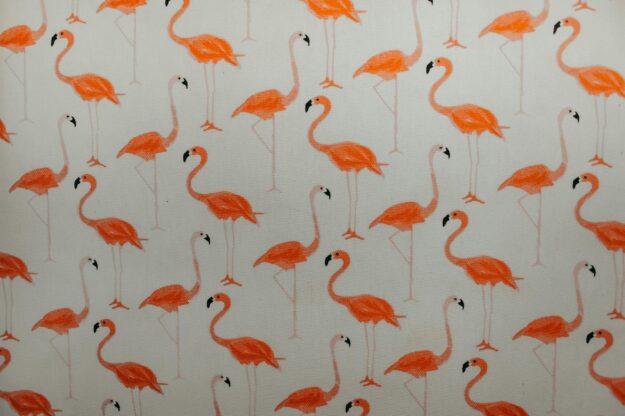 Flamingo Art Print